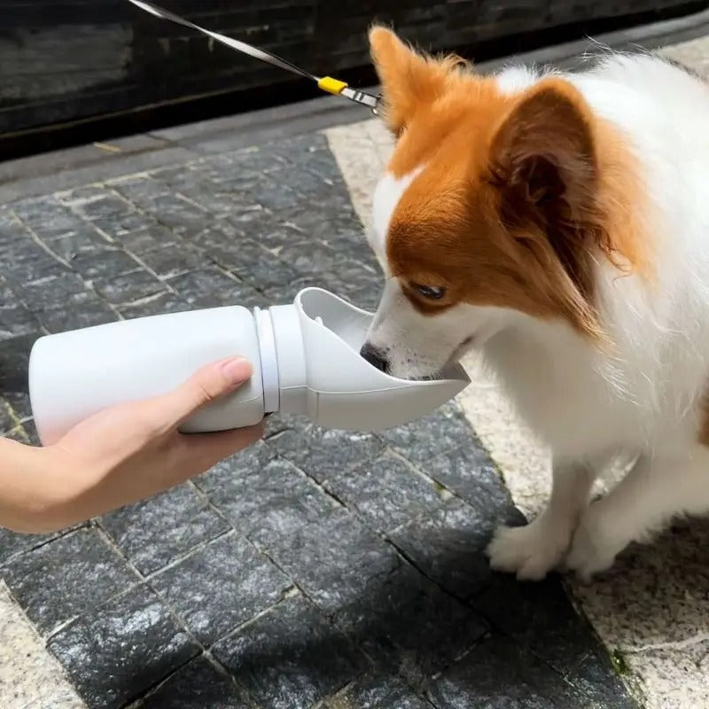 PawTasticLife™ Portable Travel Water Bottle 550ml
