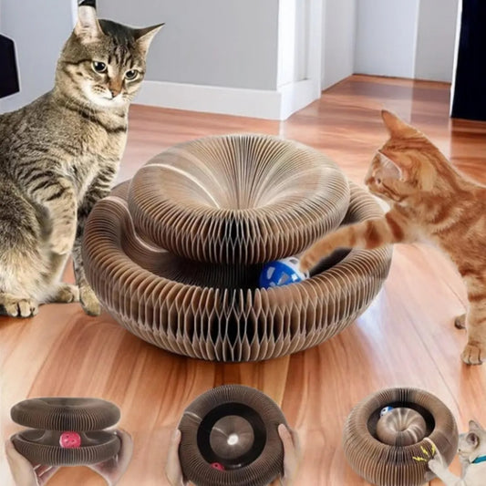PawTasticLife™Magic Cat Scratch Organ Board Cat Toy