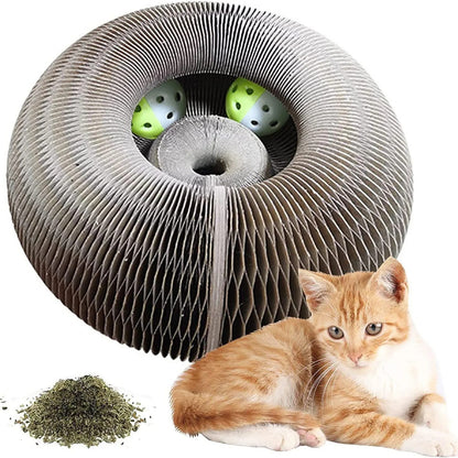 PawTasticLife™Magic Cat Scratch Organ Board Cat Toy