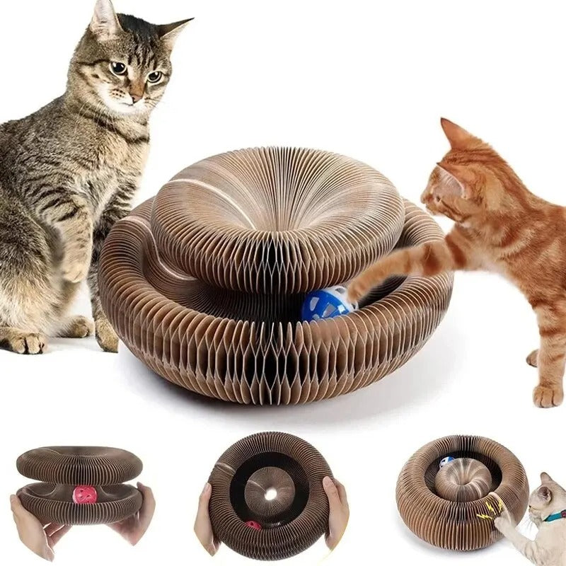 PawTasticLife™Magic Cat Scratch Organ Board Cat Toy